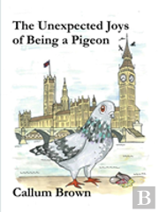 The Unexpected Joys Of Being A Pigeon
