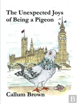 Bertrand.pt - The Unexpected Joys Of Being A Pigeon