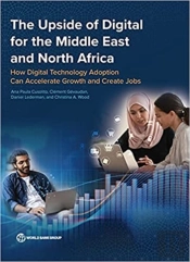 The Upside Of Digital For The Middle East And North Africa