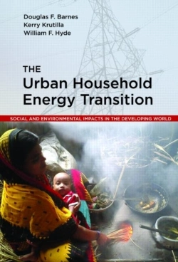 Bertrand.pt - The Urban Household Energy Transition