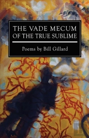 The Vade Mecum Of The True Sublime