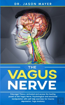 Bertrand.pt - The Vagus Nerve: Polyvagal Theory: Activ