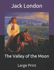 The Valley Of The Moon