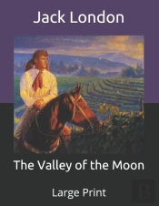 The Valley Of The Moon