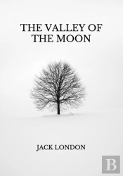 The Valley Of The Moon