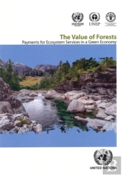 The Value Of Forests