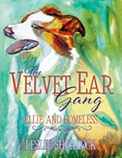 Bertrand.pt - The Velvet Ear Gang