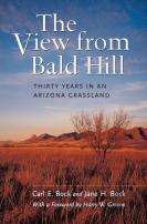 The View From Bald Hill