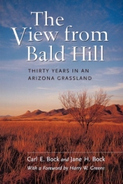 The View From Bald Hill
