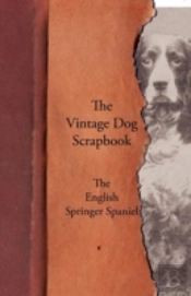 The Vintage Dog Scrapbook - The English Springer Spaniel