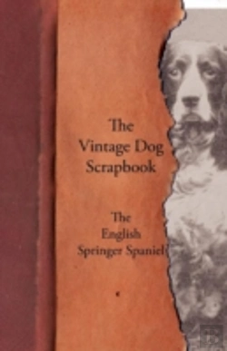 Bertrand.pt - The Vintage Dog Scrapbook - The English Springer Spaniel