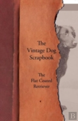 Bertrand.pt - The Vintage Dog Scrapbook - The Flat Coated Retriever