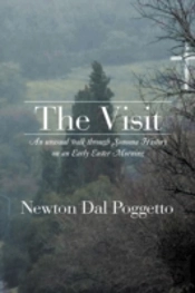 The Visit