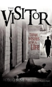 The Visitor