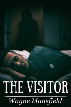 Bertrand.pt - The Visitor