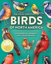 The Visual Directory Of Birds Of North America