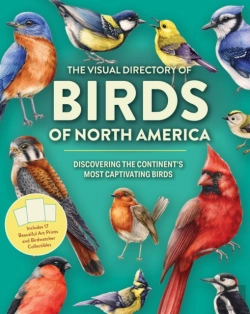 Bertrand.pt - The Visual Directory Of Birds Of North America