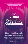 The Visual Revolution Guidebook