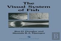 The Visual System Of Fish
