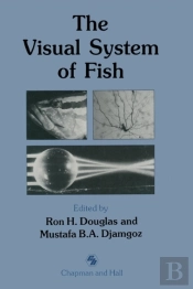 The Visual System Of Fish