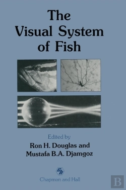 Bertrand.pt - The Visual System Of Fish