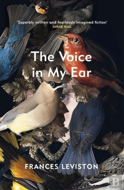 Bertrand.pt - The Voice In My Ear