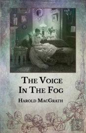 The Voice In The Fog