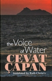 The Voice Of Water