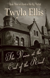 The Voices At The End Of The Road