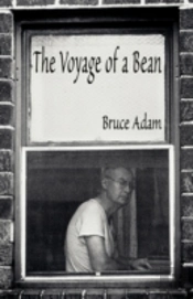 The Voyage Of A Bean