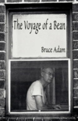Bertrand.pt - The Voyage Of A Bean