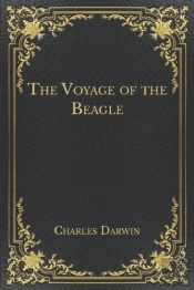 The Voyage Of The Beagle