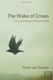 The Wake Of Crows