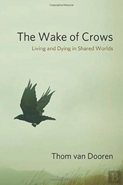 Bertrand.pt - The Wake Of Crows