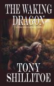 The Waking Dragon