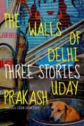 The Walls Of Delhi