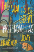 The Walls Of Delhi