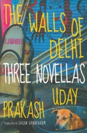 The Walls Of Delhi