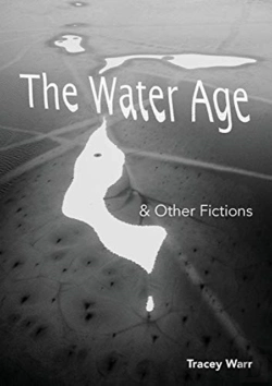 Bertrand.pt - The Water Age & Other Fictions