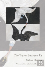 The Water Between Us