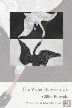 Bertrand.pt - The Water Between Us