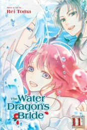 The Water Dragon'S Bride, Vol. 11