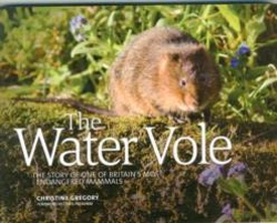 Bertrand.pt - The Water Vole