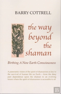 Bertrand.pt - The Way Beyond The Shaman