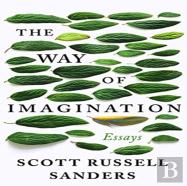 The Way Of Imagination