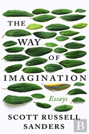 The Way Of Imagination