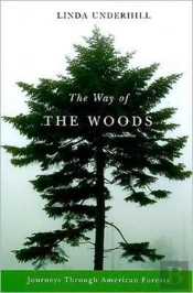 The Way Of The Woods