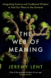 The Web Of Meaning