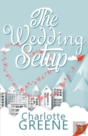 The Wedding Setup