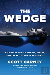 The Wedge